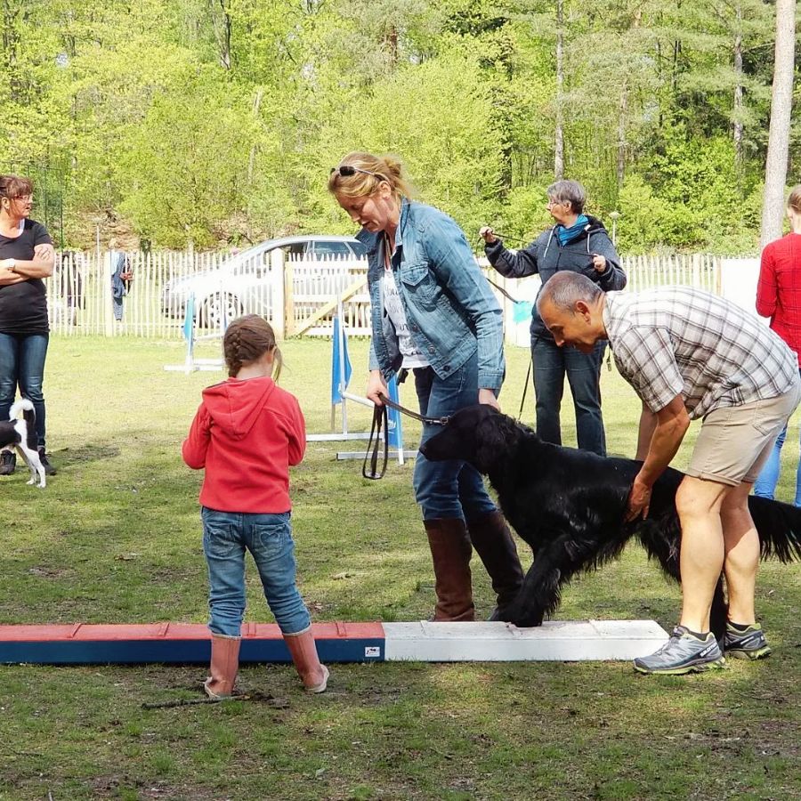Camping Samoza met honden