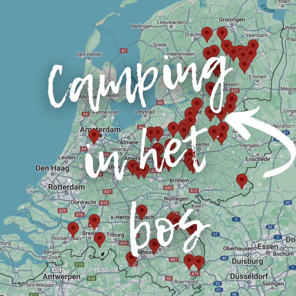 Camping in het bos Nederland